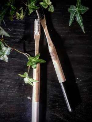 Brosses à dents en bambou biodégradable